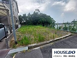 大阪府泉南市信達市場