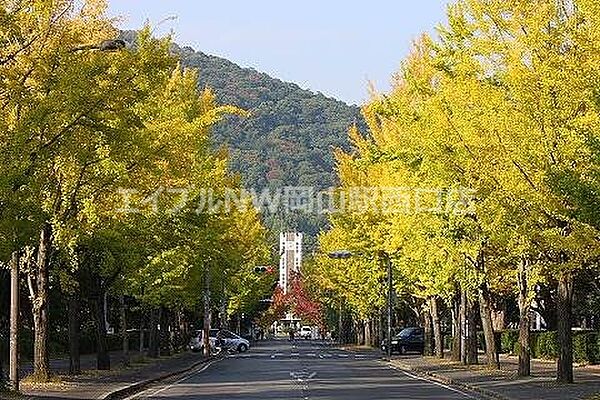 画像26:岡山大学 津島キャンパス 1191m