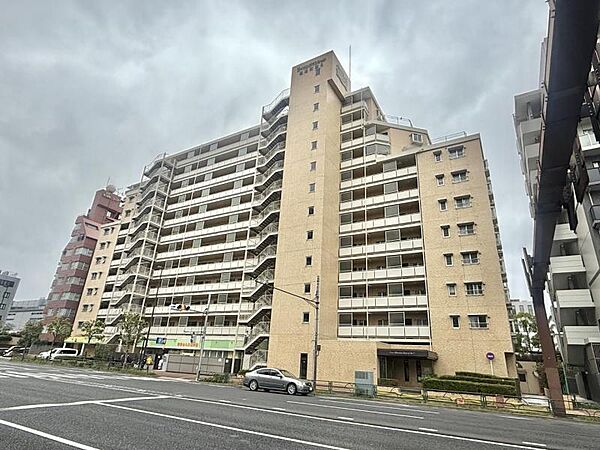 外観：313004447149