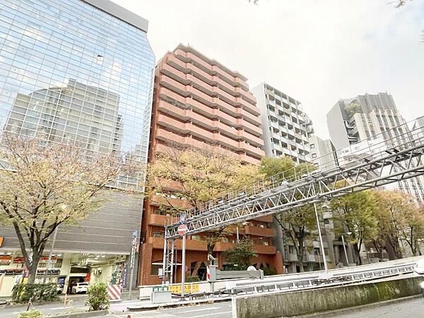 外観：313004519684