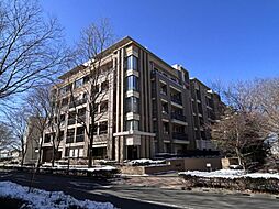 東京都杉並区高井戸東1丁目