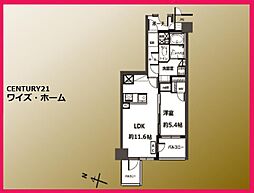 東京都文京区大塚5丁目