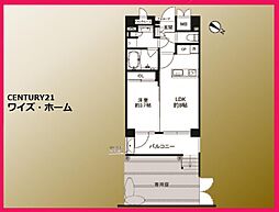 東京都文京区小石川5丁目