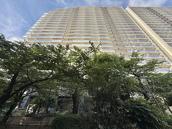 【外観】バランスの取れた設計が安定感を感じさせます。