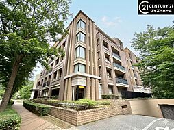 東京都杉並区高井戸東1丁目