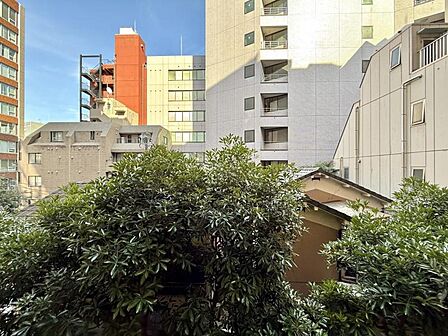【眺望】心地よい風と豊かな採光が舞い込む。