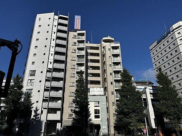 外観：313004794799