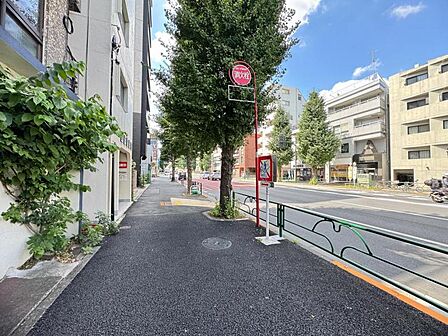 【周辺】落ち着いた住宅街が広がる、静かで住みやすいエリアです。
