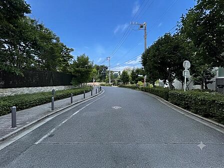 【周辺】緑豊かな街並みです。