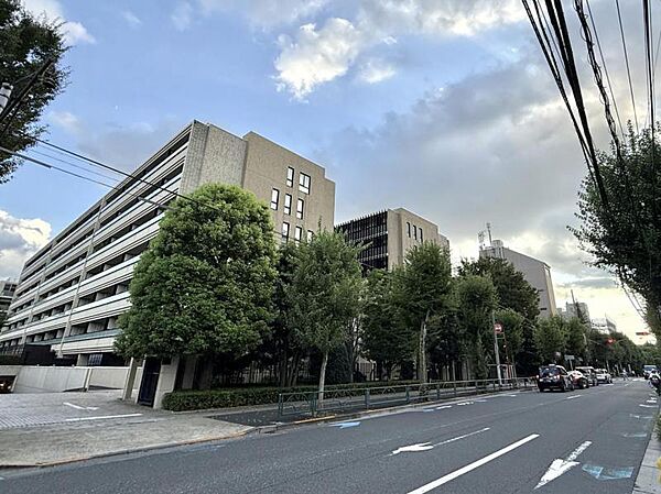 【外観】どっしりとした安定感のあるフォルム。時を経ても色褪せない、大切に管理されたマンション。