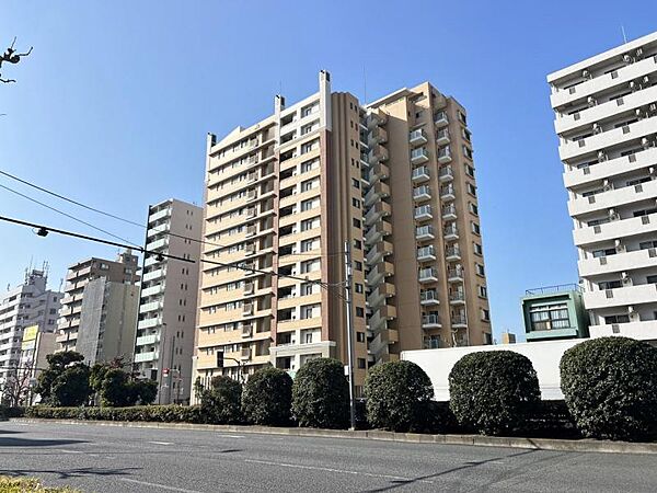 外観：313004869964