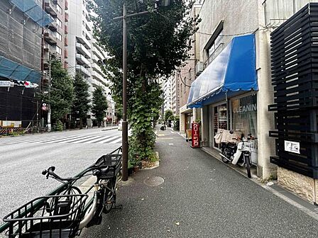【周辺環境】綺麗に整備された歩道。毎日通る道だからこそ嬉しい。