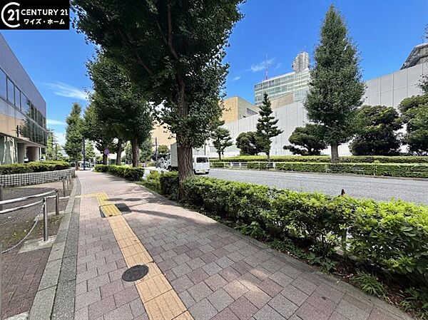 【周辺写真】周辺は都心ながら緑豊かで広く整備された歩道があります。