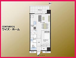 東京都港区白金6丁目