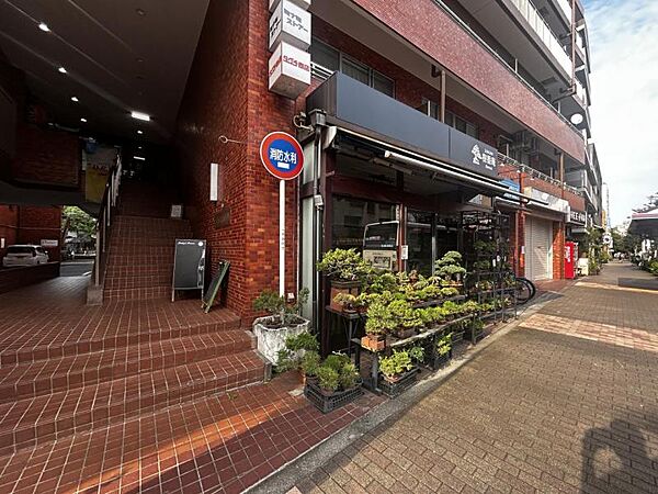 【周辺環境】綺麗に整備された歩道。毎日通る道だからこそ嬉しい。
