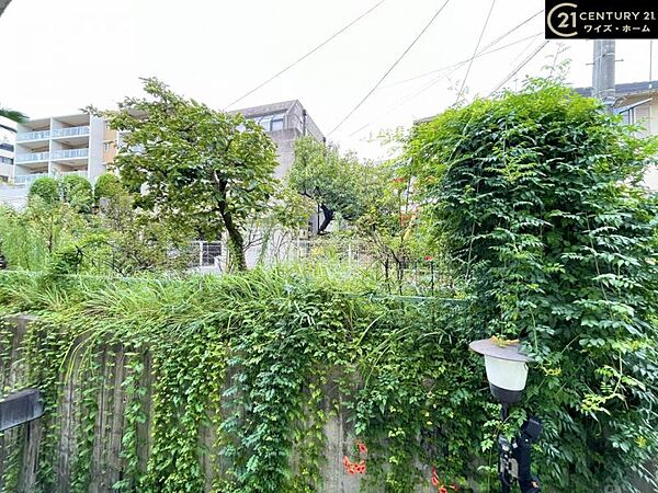 【眺望】　視界に映るのはこの街のあたたかい景観