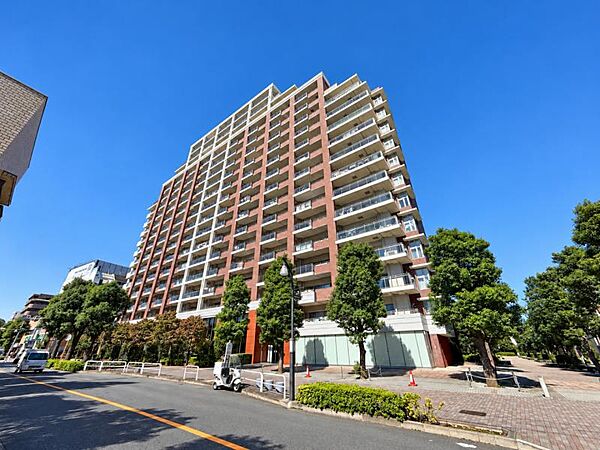 外観：313004898646