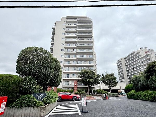 外観：313004914751
