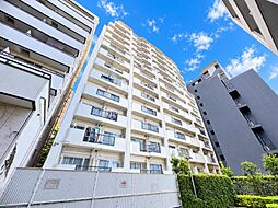 シャンボール上馬