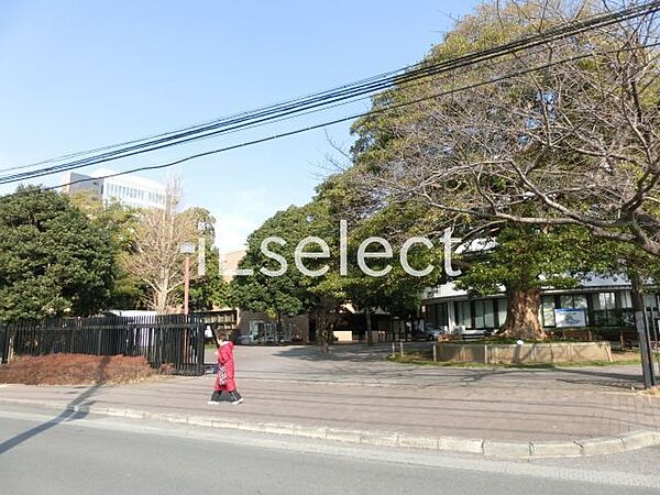 画像22:私立淑徳大学千葉キャンパス 徒歩16分。 1250m
