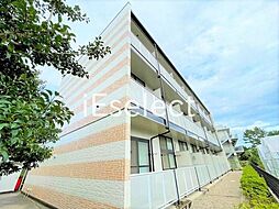 LPオリザアウレア