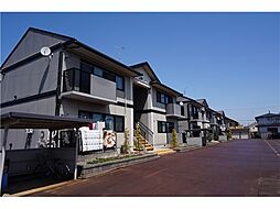13 / 17
