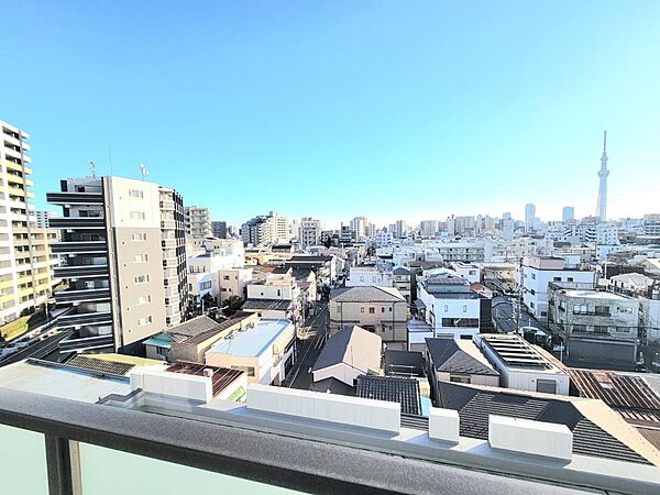 東京スカイツリーを望む、南向きバルコニーからの開放的な眺望