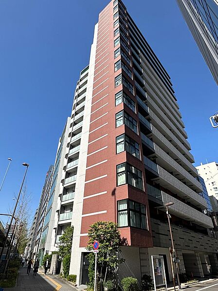 2026年6月南西側より撮影