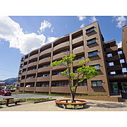 ガーデン・ハイム樗1番館 5階 築24年の賃貸物件