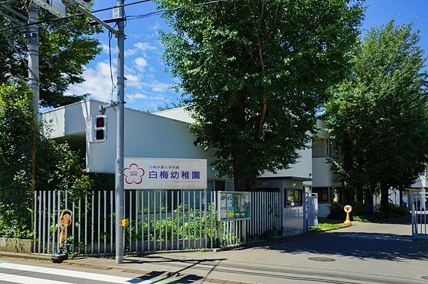 白梅幼稚園(330m)