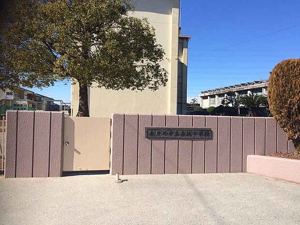 南城中学校南城中学校 1500m