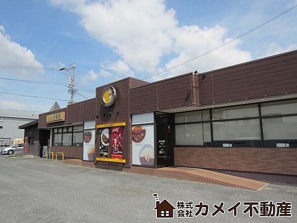 CoCo壱番屋豊明国一店