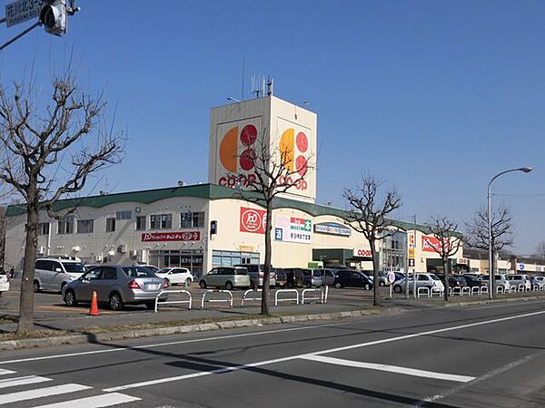 【周辺環境】コープさっぽろいしかり店様まで約450ｍ、徒歩約6分です。