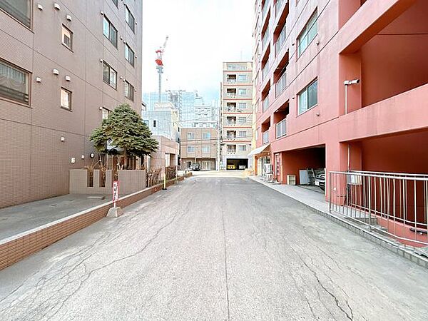 【前面道路】前面道路の写真です。
