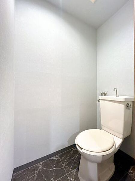 【現況＿トイレ】トイレの写真です。