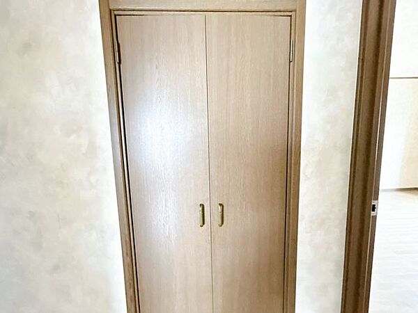 【現況写真】階段下収納の写真になります。