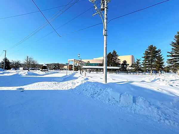 セブンイレブン旭川忠和4条店 【総合体育館】ヘルスガーデン忠和まで260m　徒歩4分です 530m