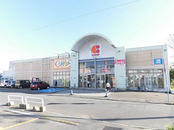【スーパー】コープさっぽろ桜ケ岡店まで徒歩16分（1250ｍ）食料品から日用品まで揃い、忙しい方には大変便利です。