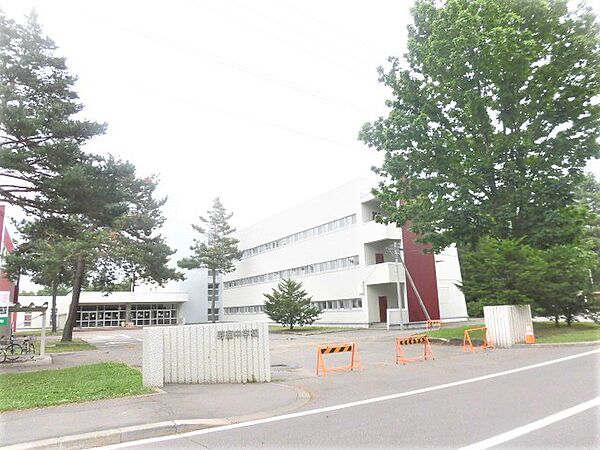 detached 北海道河西郡芽室町東八条3丁目2-3
地図を見る