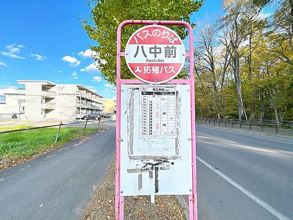 セブンイレブン帯広若葉店 【バス停】八中前まで290ｍ　徒歩4分です。駅方面まで通勤通学にも便利な距離にあります。