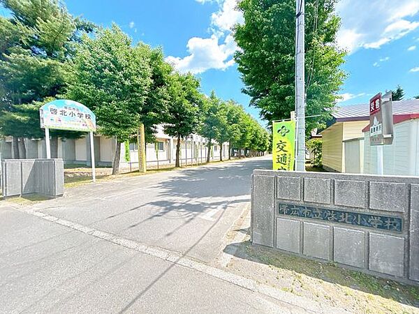 【小学校】帯広市立啓北小学校まで徒歩4分（290ｍ）。小さいお子様も安心して通学できます。