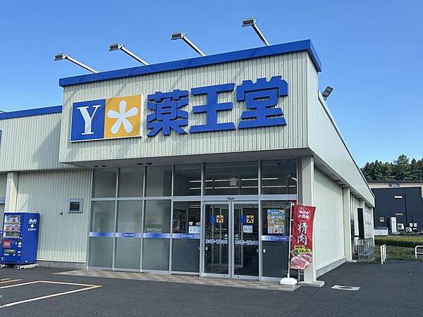 【周辺環境】薬王堂青森三戸店様まで約750ｍ（徒歩10分） 1100m