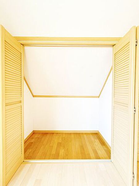2階西側洋室収納です。2つありますので、お洋服や荷物をたくさん収納することができます。