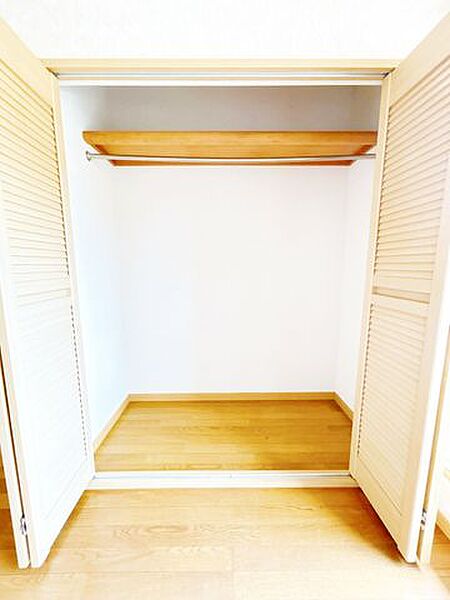 2階中央の部洋室納です。お子様のお洋服を入れるのにばっちりです。