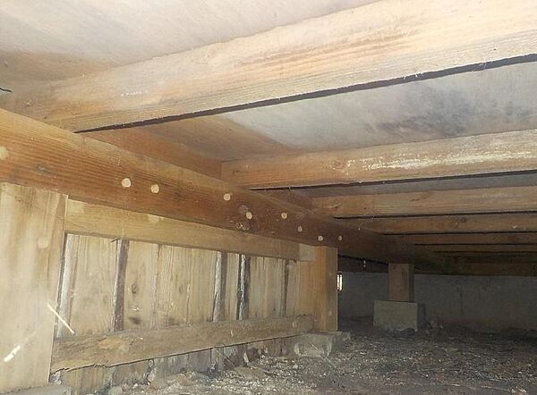 detached 福島県二本松市智恵子の森3丁目54
地図を見る