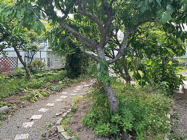 detached 福島県相馬市新沼字刈敷田6-22
地図を見る
