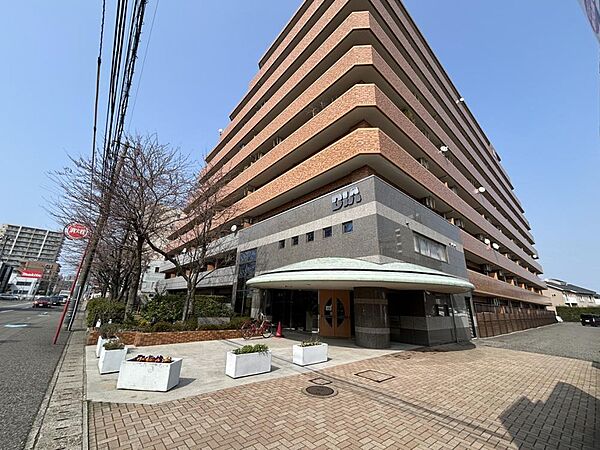 外観：315000033499