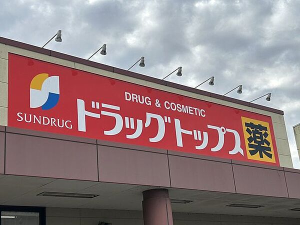 ウエルシア新潟新津店様まで約990ｍ（徒歩13分）。