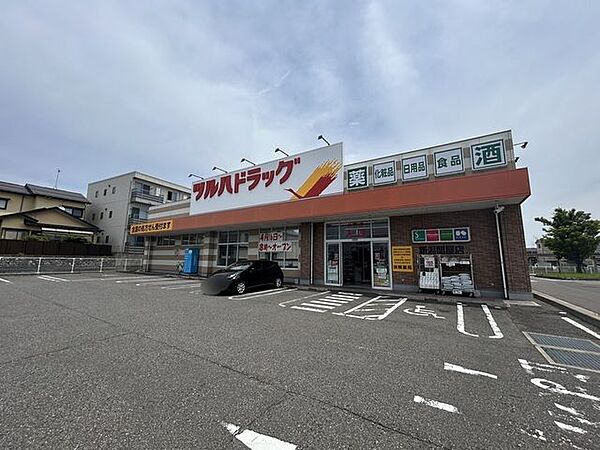 ツルハドラッグ新潟関屋店様まで約680m(徒歩約9分)