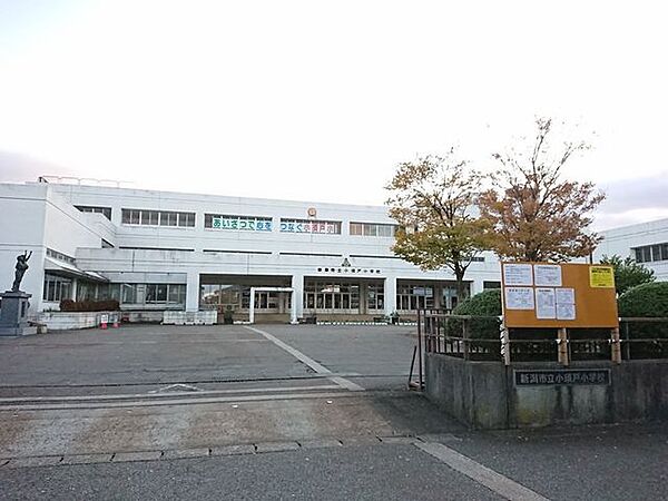 新潟市立小須戸小学校 【小学校】小須戸小学校　約800ｍ（徒歩10分）